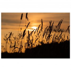 7348b0c7-157c-48f1-905e-28c69161b735