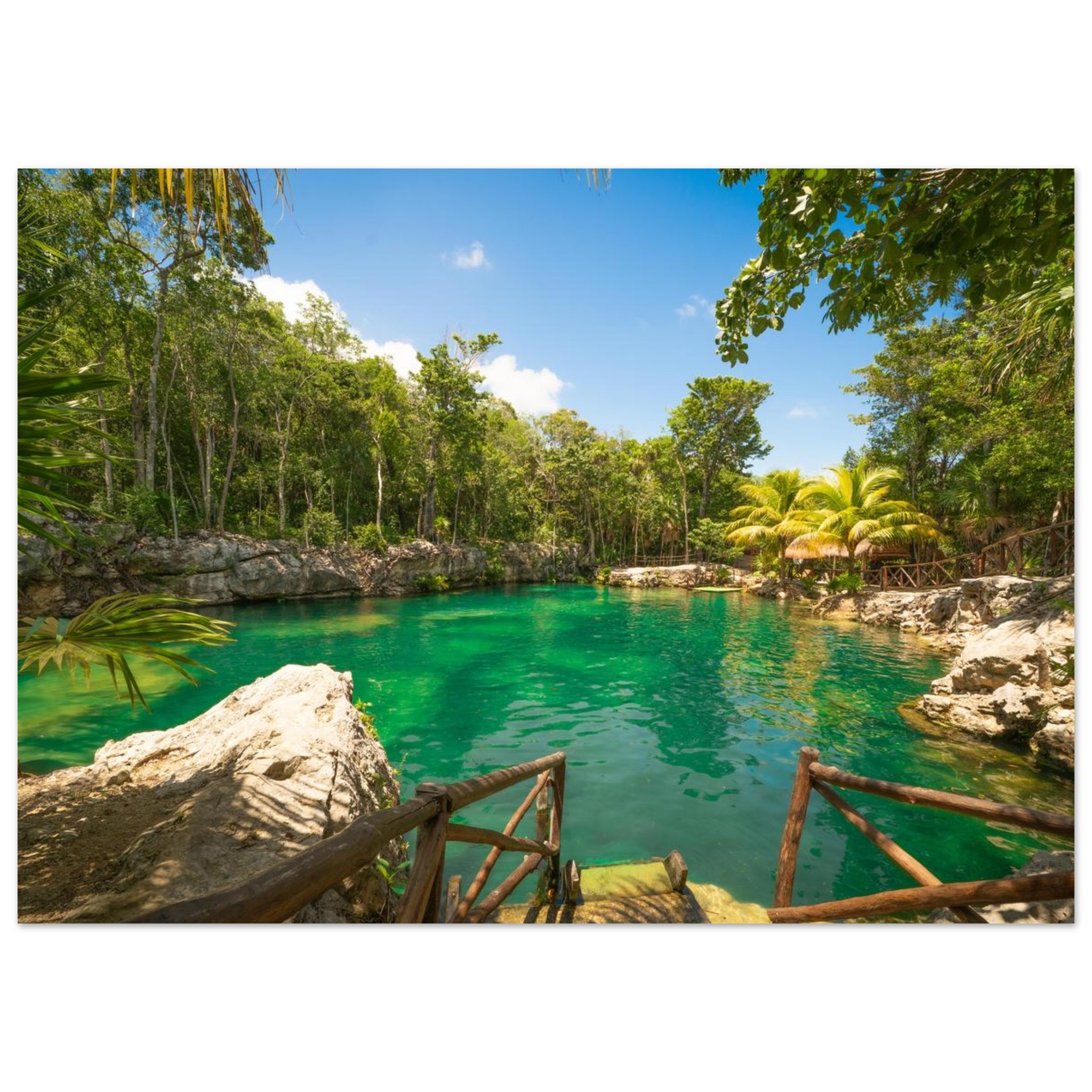 a14e72c9-d006-41bd-926c-f05b86c43562