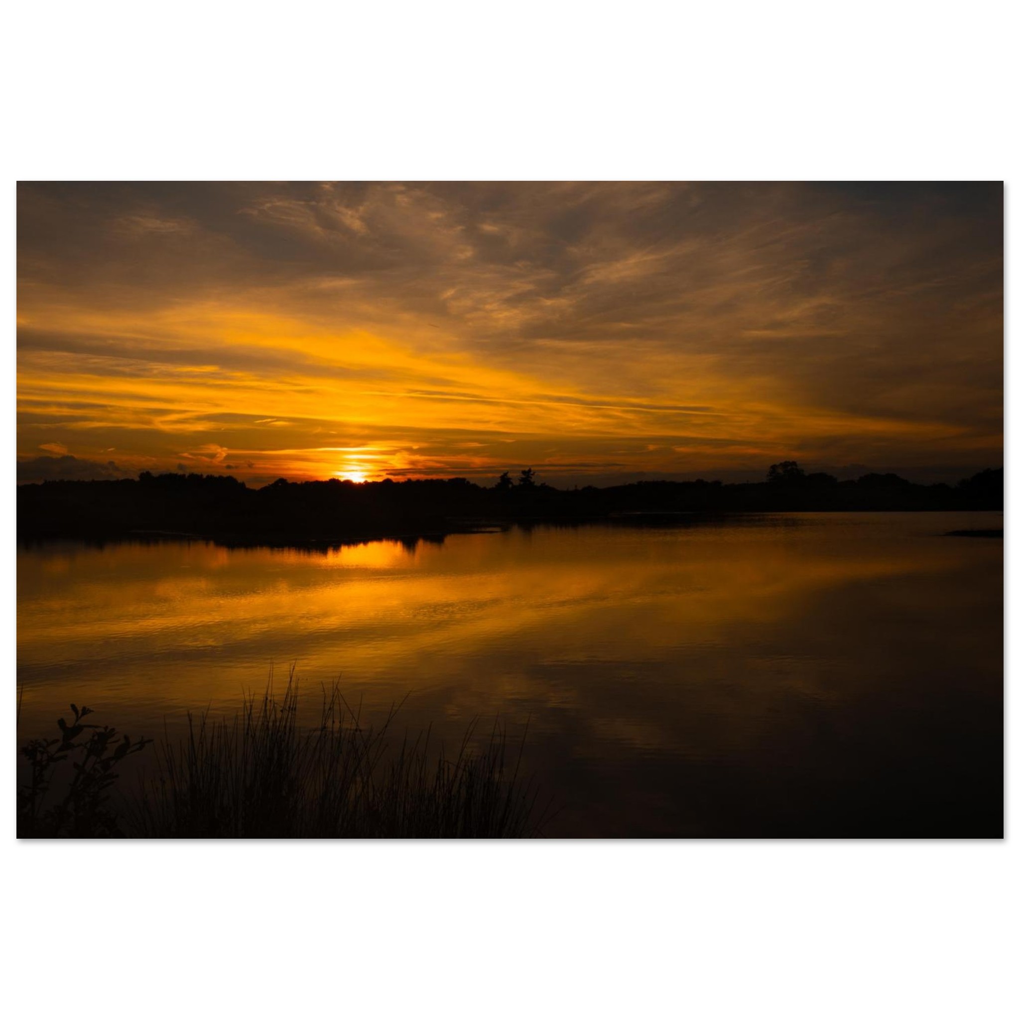 a6297ce6-4a76-4660-889d-31d1f6c4be09