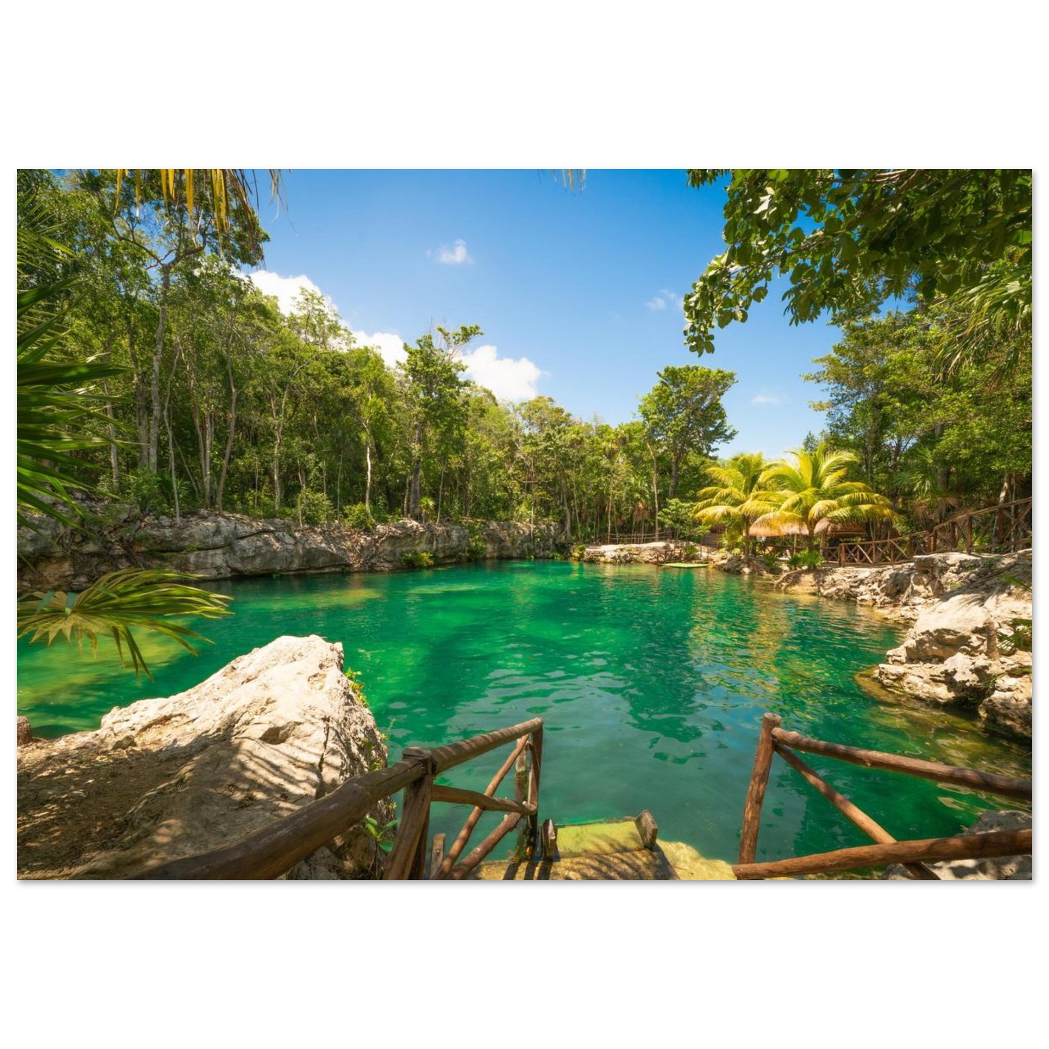 a7637294-3b78-4daa-aedf-fe22a9748b77