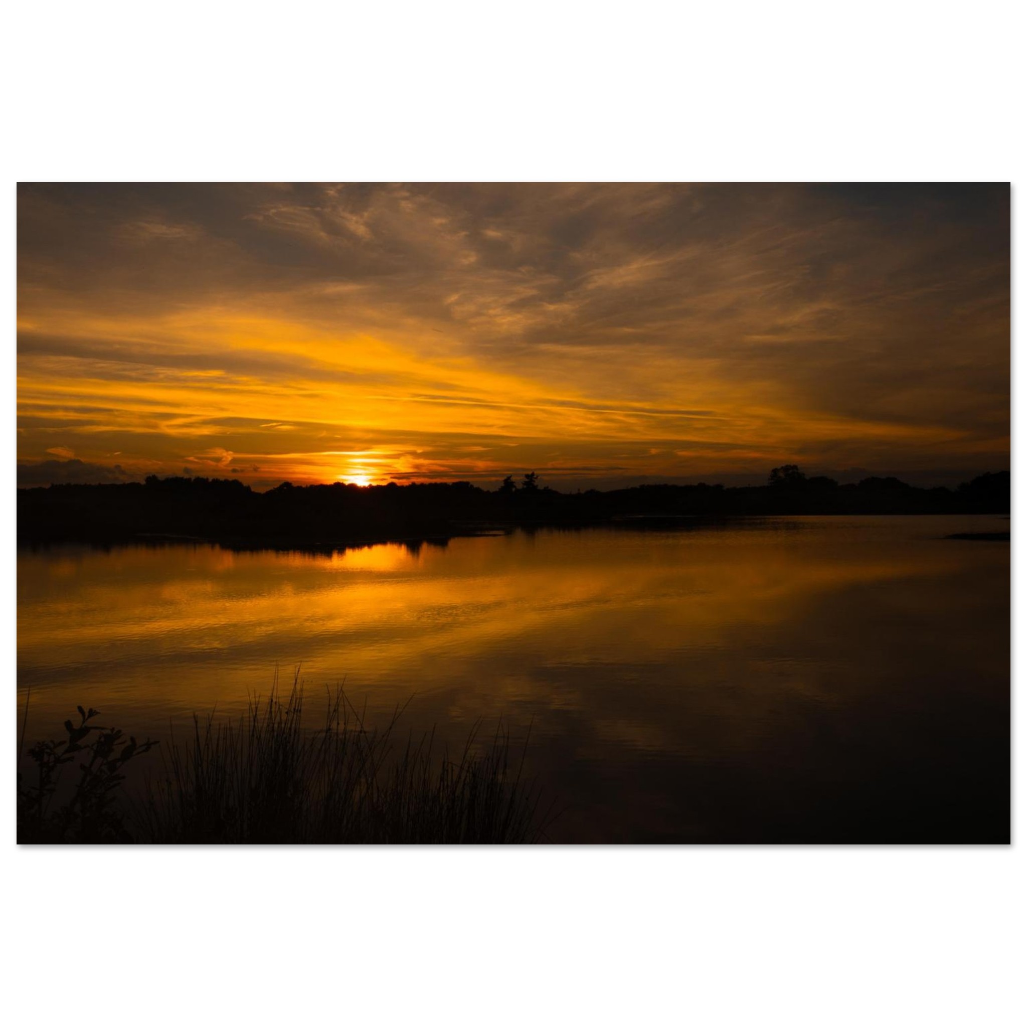 a7d0d70d-8925-43f5-8642-8ffc55a5bd03