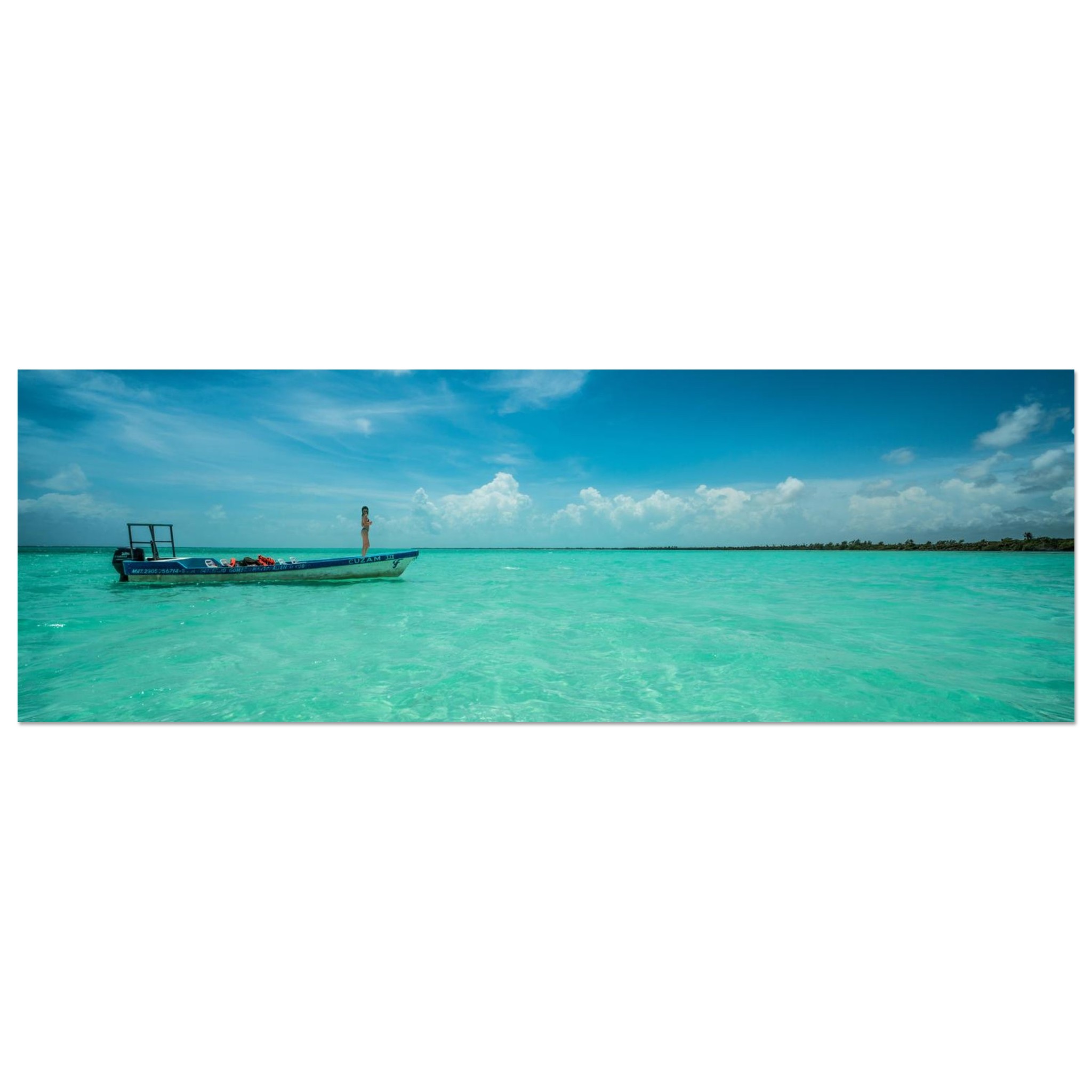 c17886cc-a235-4156-9b5a-9f4284381509