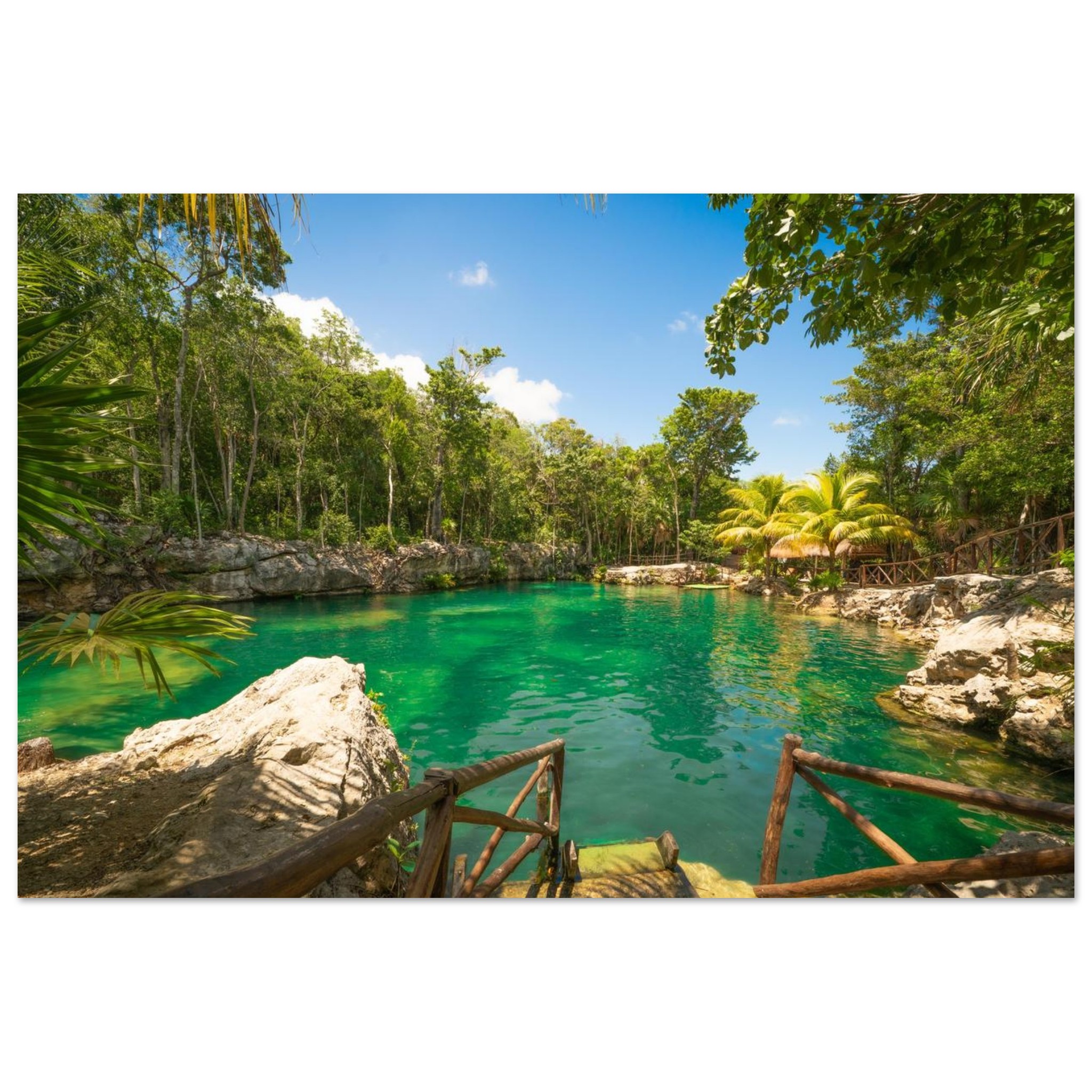 e0cc6f6d-bed0-404a-8c26-086f0298d7d5