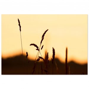 9af72d85-7034-4f24-8f04-5da50dd5b8ed